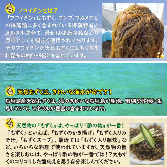 送料無料】沖縄県石垣島産 天然太もずく 500g×6個セット 琉球フロント
