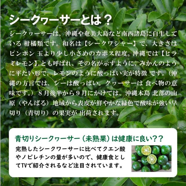 山原シークヮーサー