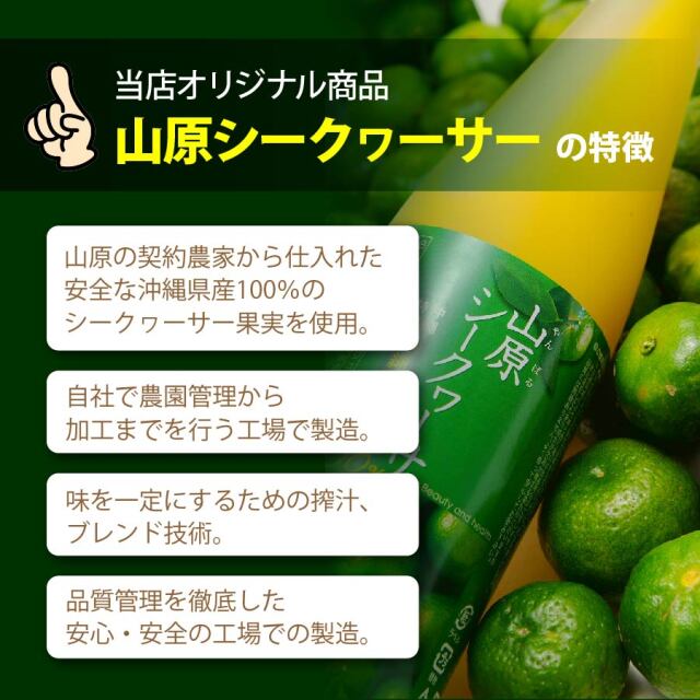 ysk300ml_lp_04.jpg