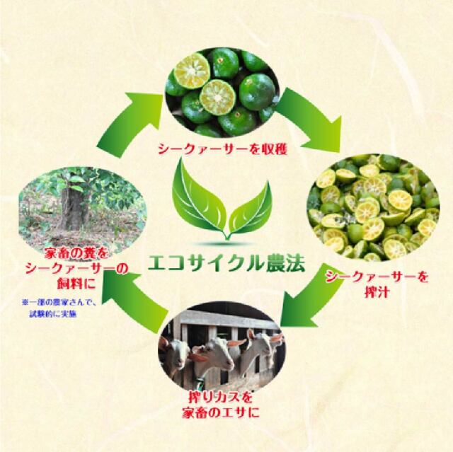 【３本セット】山原シークヮーサー(化学肥料・農薬(栽培期間中)不使用) 化学肥料・農薬不使用 山原シークヮーサー 1L PET x 3本セット