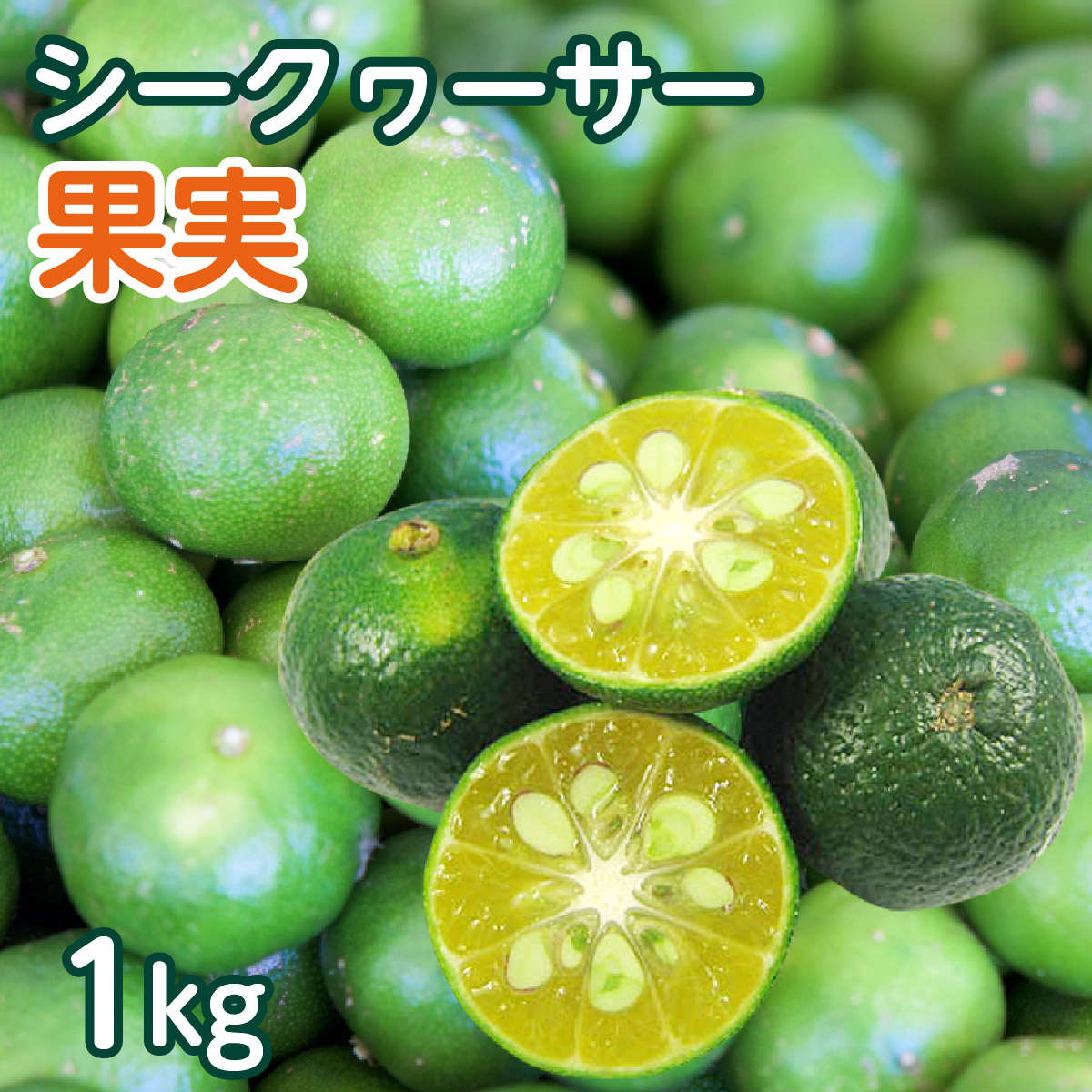 ★2025年の出荷は終了しました★ 【送料無料】 沖縄県産 青切り シークヮーサー果実 約1kg（約40個～50個前後） ※日時指定・同梱不可