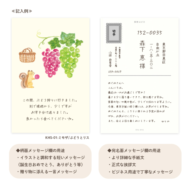 KHS-04：季節のはがき箋 12種各1枚 どうぶつのあかちゃん〔OZ〕