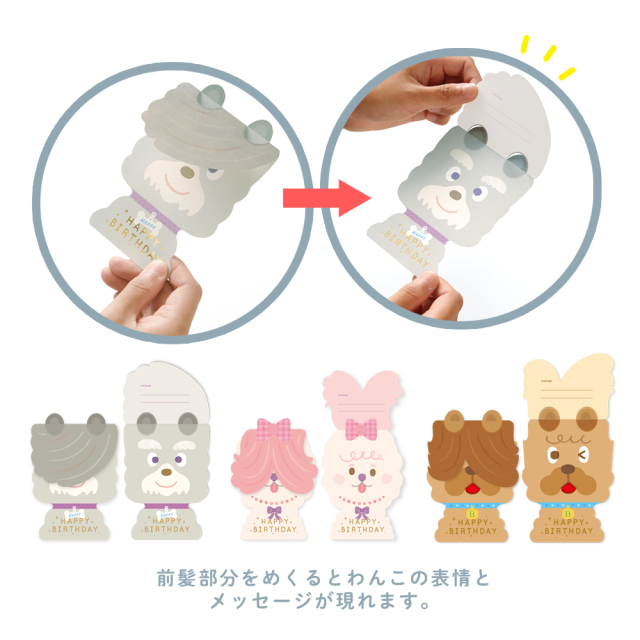 MWBC-02：前髪わんこバースデーカード マルチーズ〔OZ〕〕(4510180119127)