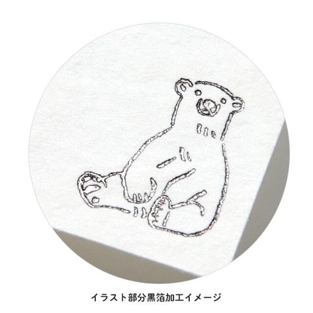 ホッキョクグマ 縮小全身骨格模型【シロクマ】 | アンフィ合同会社