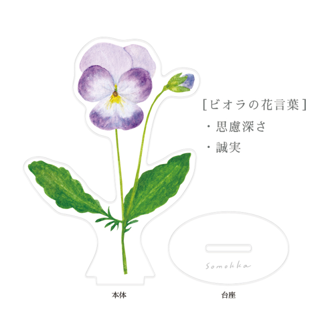 SMAS-06：草木花 （ソウモッカ） アクリルスタンドクリップ ビオラ〔OZ