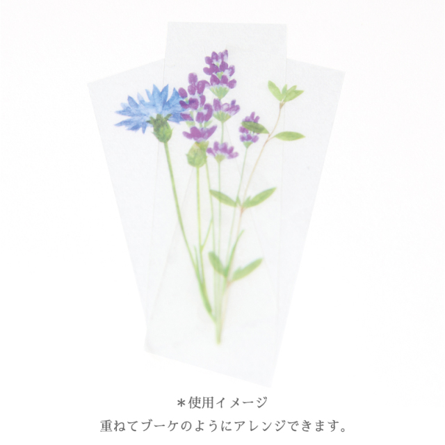 草木花_透明テープ