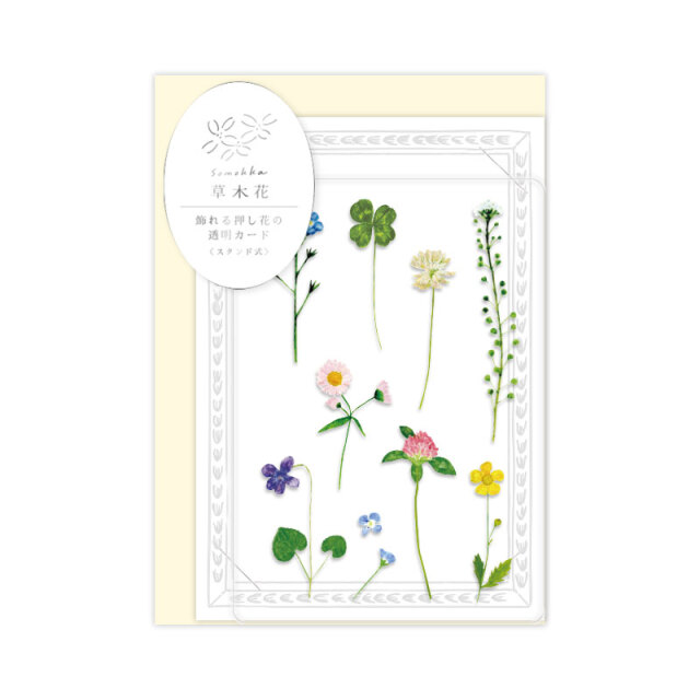 草木花_透明カード