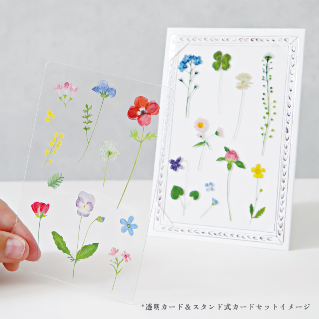 草木花_透明カード