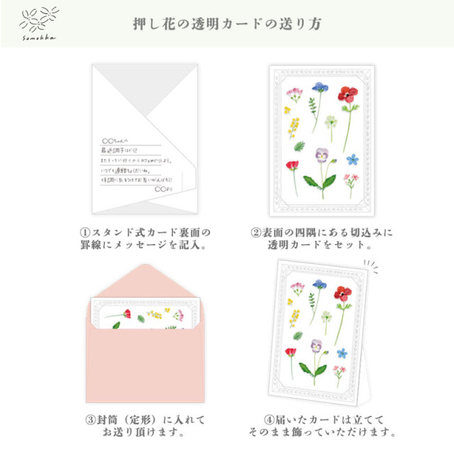 草木花_透明カード