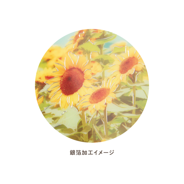 透明うちわカード