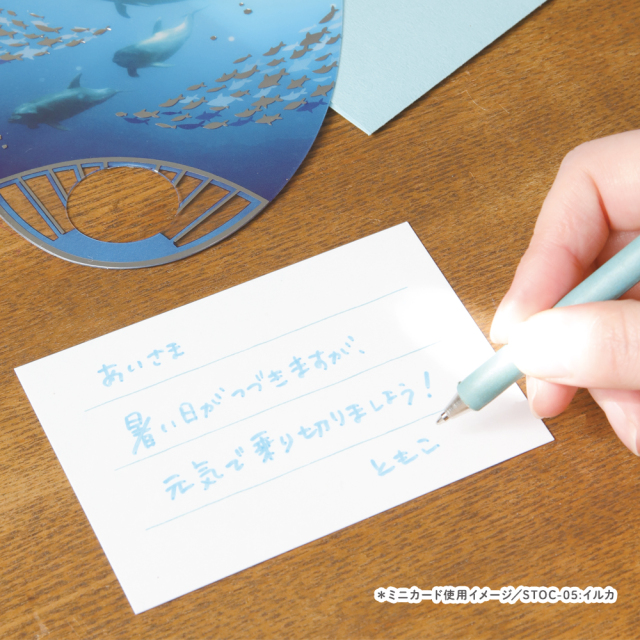 STOC-01:透明うちわカード 星座〔OZ_S〕(4510180015153) STOC-01:透明うちわカード 星座〔OZ_S〕(4510180015153)