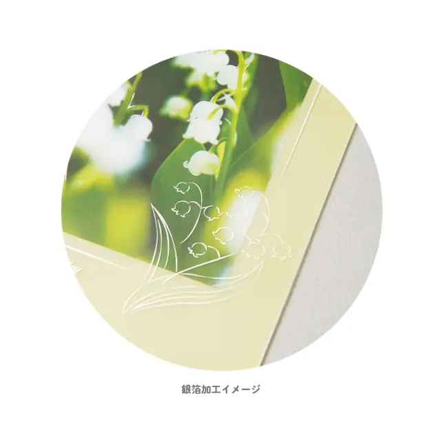 透明カード_ポストカード