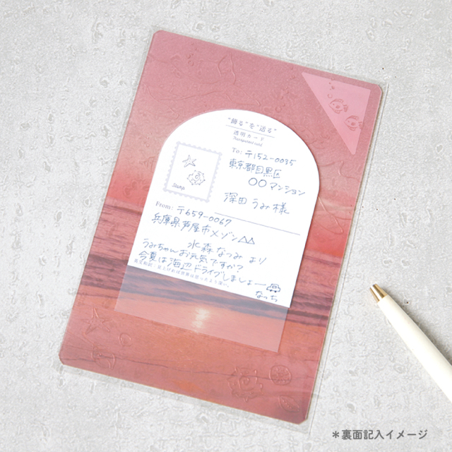 透明カード
