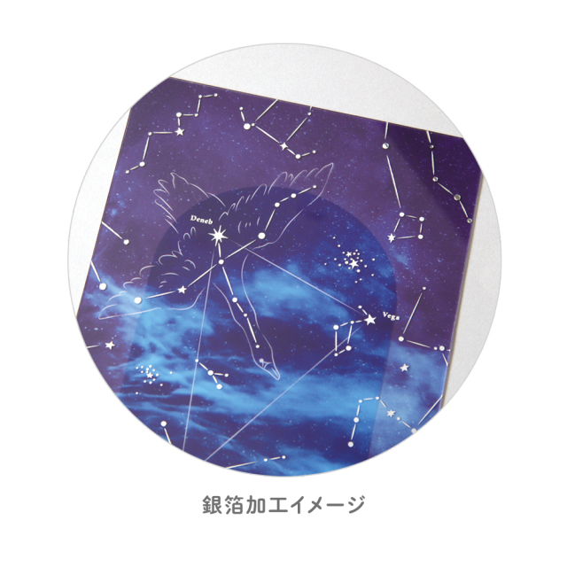 透明カード