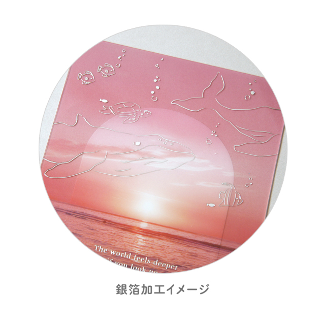 透明カード