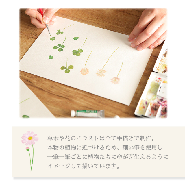 SMTC-04：草木花 （ソウモッカ） 押し花の透明カード 多目的