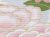 夏物絽訪問着