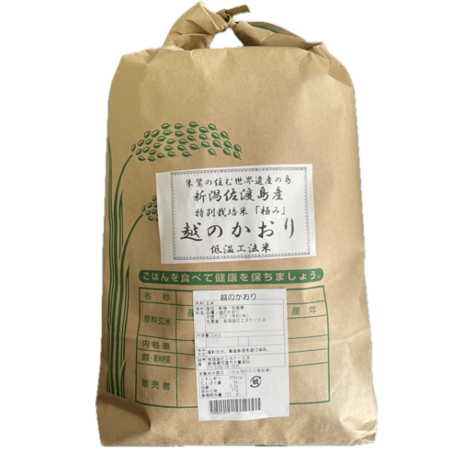 新米入荷！健康志向な方！令和7年度産　佐渡産　越のかおり　　５ｋｇ　特別栽培低温工法米【精米】