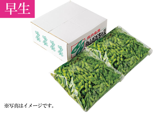 だだちゃまめ出品 早生］だだちゃ豆2キロ 山形県庄内白山産
