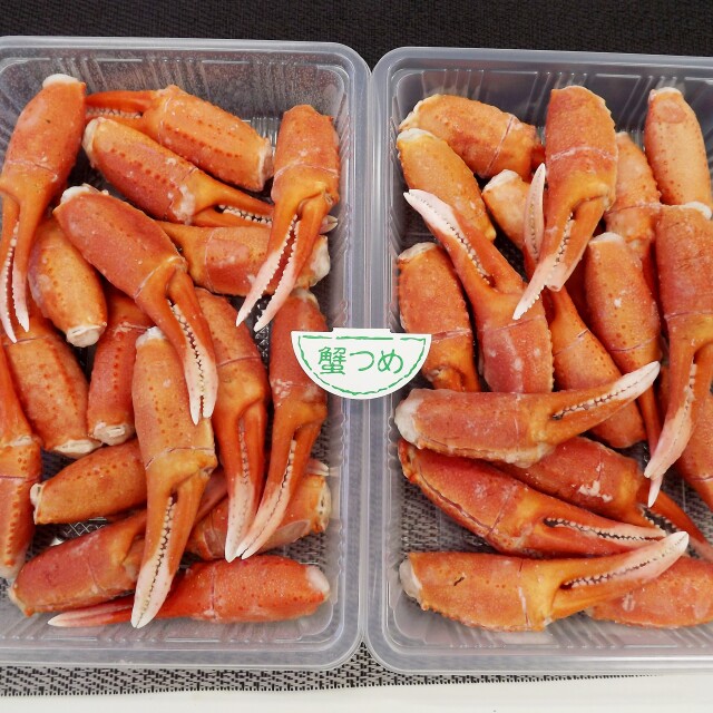 紅つめ2P