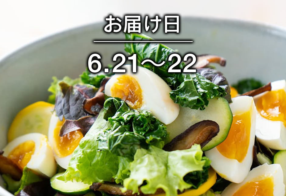 【送料込】生鮮便第260回　スモッちとたっぷり野菜サラダ