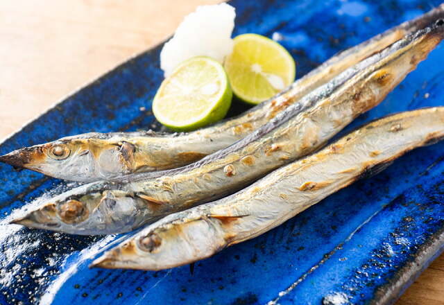 231118_0938.jpg?t=20231116141545