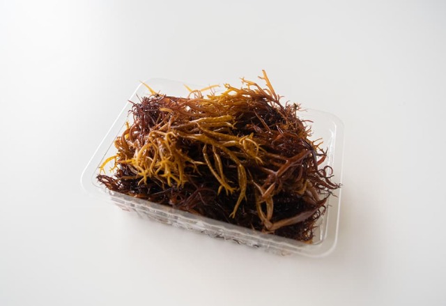 新物　生ふのり