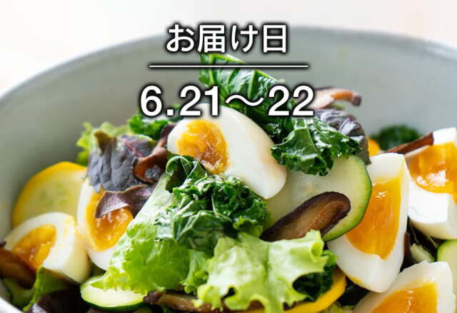 【送料込】生鮮便第260回　スモッちとたっぷり野菜サラダ