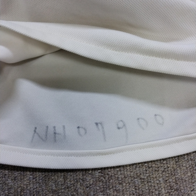 【Bランク 中古 体位変換クッション】タイカ ウェルピーHCブーメラン