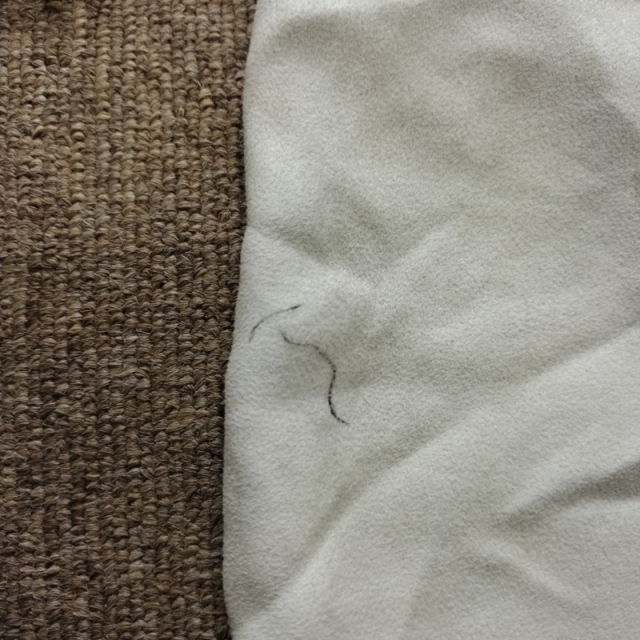 【Bランク 中古 スライディングシート 】東レ トレイジースライドシ