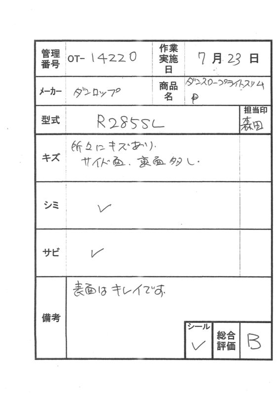 【Bランク 中古 スロープ】ダンロップホームプロダクツ ダンスロープ