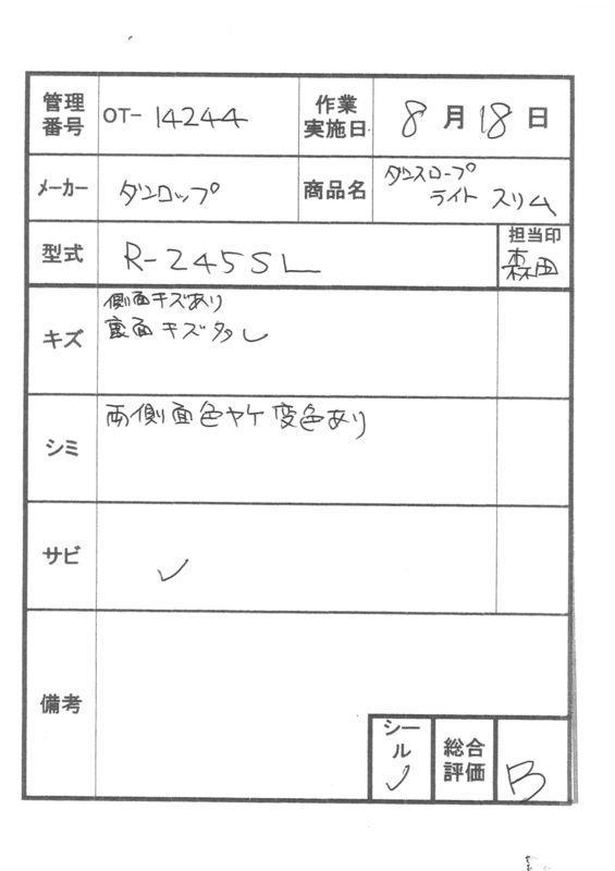 【Bランク 中古 スロープ】ダンロップホームプロダクツ ダンスロープ