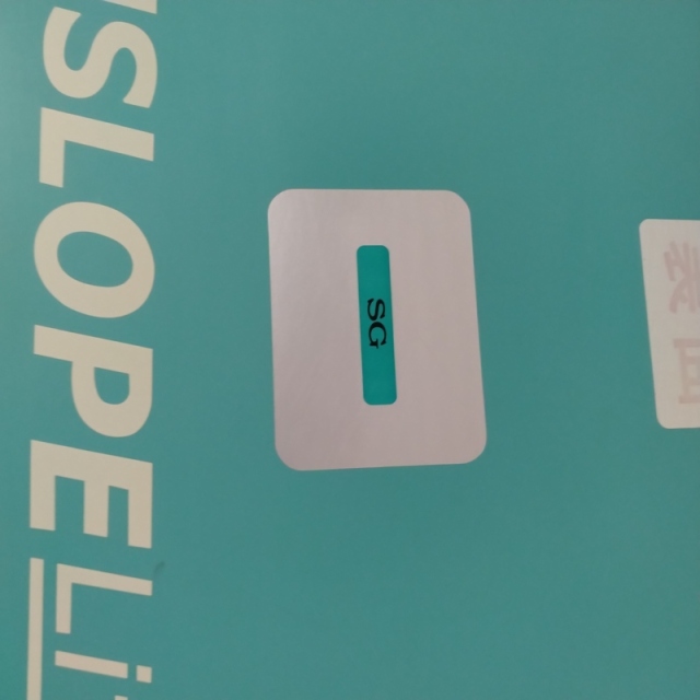 【Aランク 中古 スロープ】ダンロップホームプロダクツ ダンスロープ