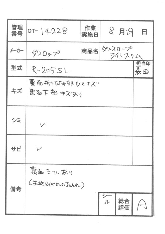 【Aランク 中古 スロープ】ダンロップホームプロダクツ ダンスロープ