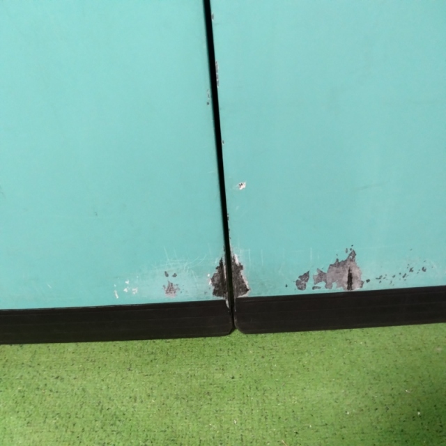 【Bランク 中古 スロープ】ダンロップホームプロダクツ ダンスロープ