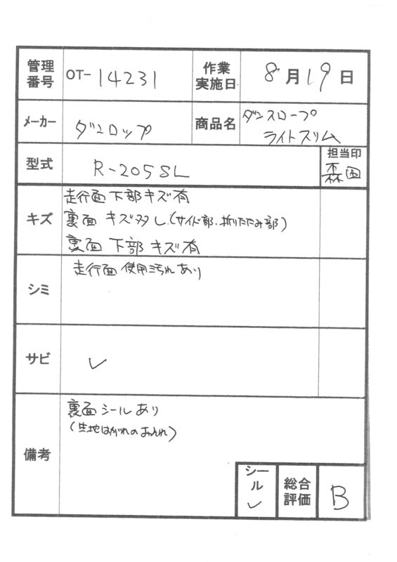 【Bランク 中古 スロープ】ダンロップホームプロダクツ ダンスロープ