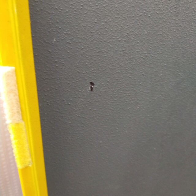 【Bランク 中古 スロープ】ダンロップホームプロダクツ ダンスロープ