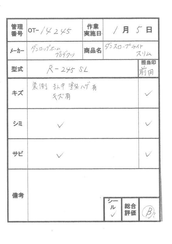 【Bランク 中古 スロープ】ダンロップホームプロダクツ ダンスロープ