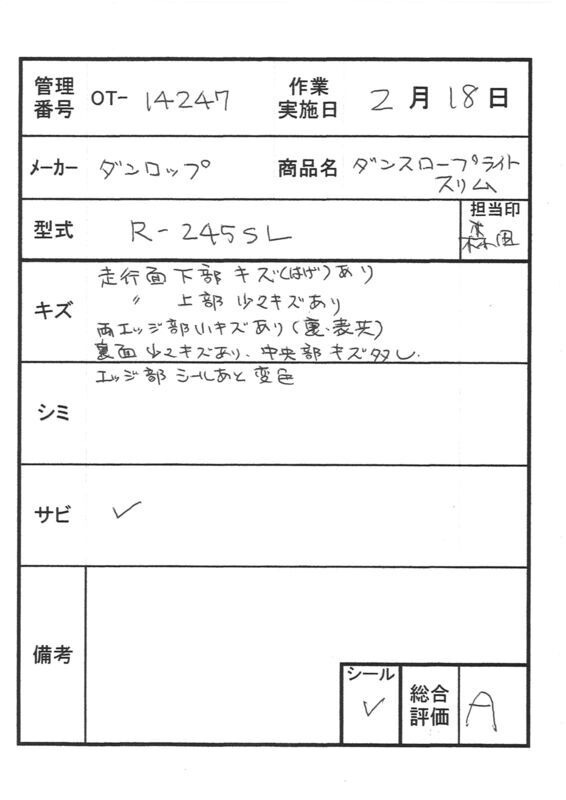 【Aランク 中古 スロープ】ダンロップホームプロダクツ ダンスロープ