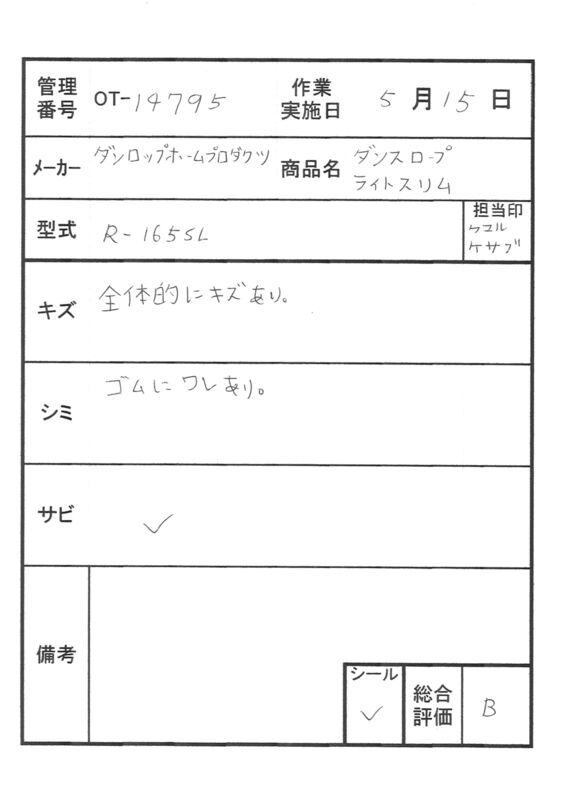 【Bランク 中古 スロープ】ダンロップホームプロダクツ ダンスロープ