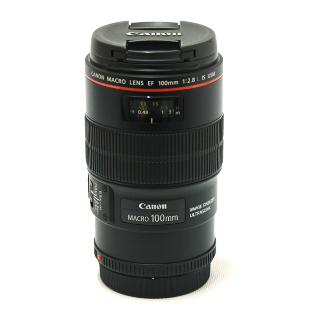 100ｍｍ