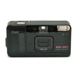 Bigmini