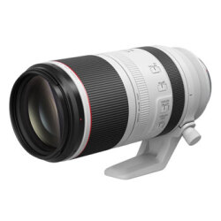 【新品】キヤノン RF100-500mm F4.5-7.1 L IS USM【メーカー取寄せ品】【選べる5年間延長保証対象（別料金）】
