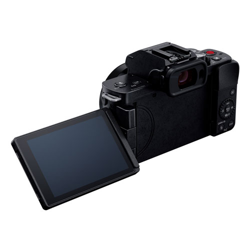 LUMIX パナソニック DC-G100 標準ズームレンズ・予備バッテリー付き