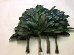 京都府産　無農薬　天然　本榊（ほんさかき）　オーダー窓口 神棚用本榊