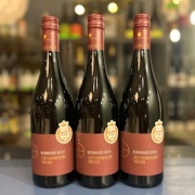 ベルンハルト　コッホ　ドルンフェルダー　2022