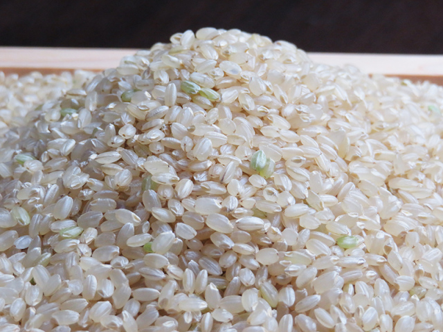 2020風さやか玄米