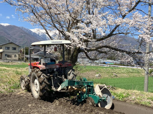 【玄米10kg】カルフ！ 2009 2013 Kawasaki Mule 4010 Diesel KAF950F 4x4 OEM Full Service