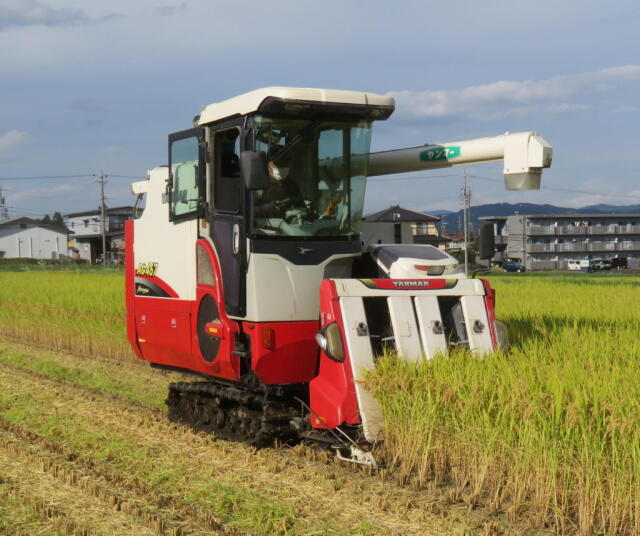 令和6年長野県産新米 風さやか 玄米10kg 美味しいお米 農家直送 送料
