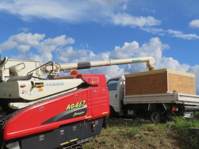 ダンプ積み込み